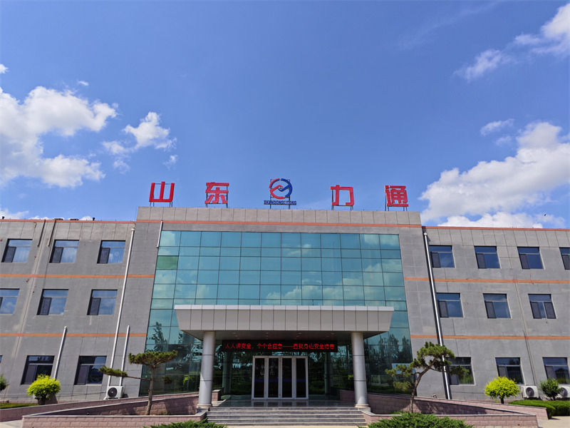 Lihong Holding Group Co., Ltd.